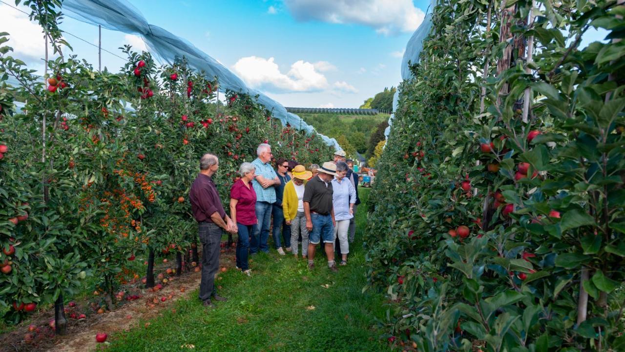 Vakantie Oord Zonnehoeve Valkenburg aan de Geul Bagian luar foto